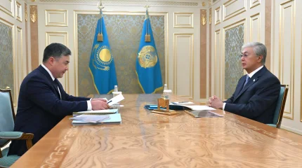 Президент принял председателя Национального банка Тимура Сулейменова