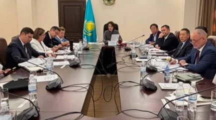 В Казахстане снизились показатели материнской смертности и гибели в ДТП — итоги Минздрава