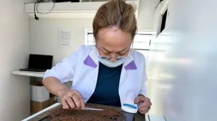 Ақтөбе шекарасында қызанақ пен айсберг салатынан карантиндік зиянкес анықталды