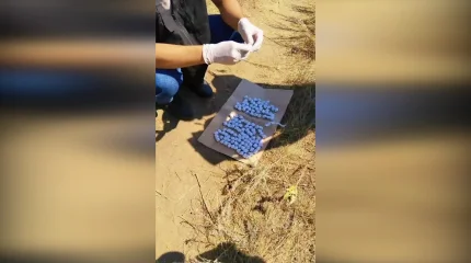 Полицейские Актобе изъяли более 370 свёртков с наркотиками у предполагаемых закладчиков