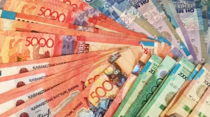 Елордада жалған хабарландыру арқылы 850 мың теңге жымқырған күдікті ұсталды