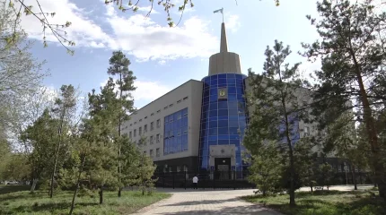 600 млн тенге спустили на ставки неплательщики алиментов в Павлодарской области