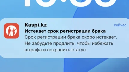 Казахстанцев предупредили о новой мошеннической схеме с «продлением брака»