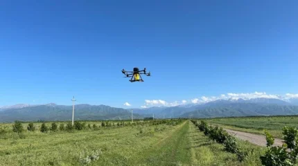 Қазақстандық ғалымдар дрондардың көмегімен егістікті қорғау технологиясын әзірледі