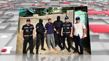 Қазақстанда терроризм мен экстремизм қылмыстарына қатысты 19 адам сотталды