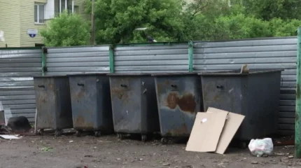 Полиция за два часа установила женщину, оставившую новорожденную девочку в мусорном контейнере