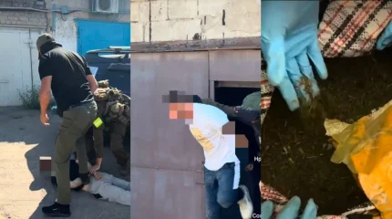 Павлодарда 60 келіге жуық марихуана тәркіленді