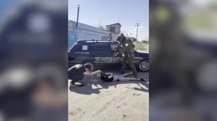 60 кг марихуаны изъяли у двух жителей Павлодара