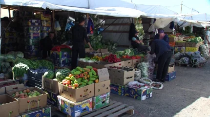 В Казахстане подсчитали стоимость продуктов для заготовок на зиму