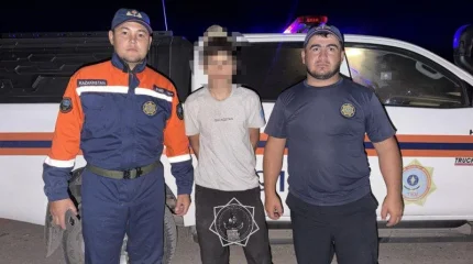Житель Шу заблудился на луковом поле