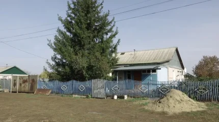 Қызылжарлық зейнеткер 89 жастағы анасын өлтірді