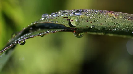 Алдағы күндері еліміздің бірқатар өңірінде жаңбыр жауады