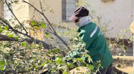 Қатты желден шатыр ұшып, ағаштар құлады