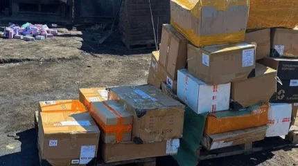 570 млн теңгені құрайтын өнім заңсыз айналымнан шығарылды