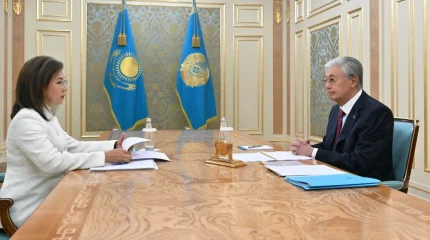 Президент принял председателя Агентства по регулированию и развитию финансового рынка Мадину Абылкасымову