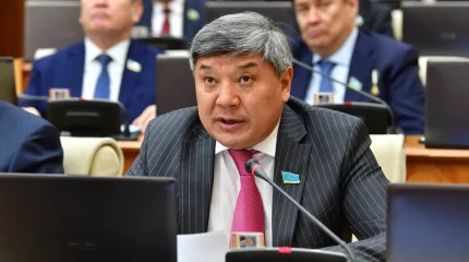 16 жасқа дейінгі балаларға әлеуметтік желі шектеле ме?