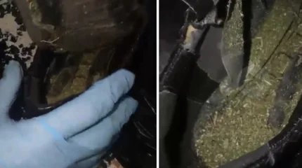Наркотики в стельках пытались пронести в СИЗО Восточного Казахстана