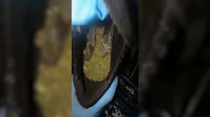 Наркотики пытались пронести в  СИЗО Восточного Казахстана