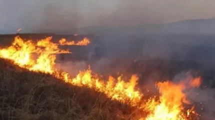 ТЖД жүргізушілерге ескерту жасады