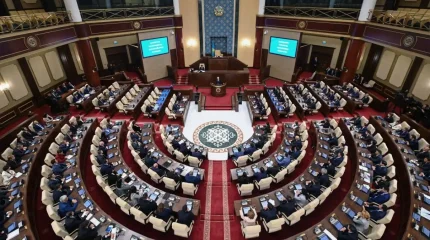 Құрылтай жанынан Қоғамдық палата құрылады