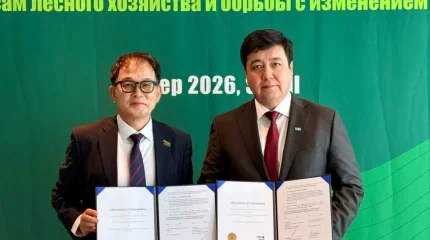 Қазақстан мен Корея орман саласындағы ынтымақтастықты кеңейтуде