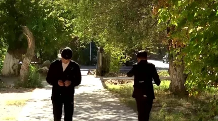 Ақтөбеде шыбын-шіркей қаптады