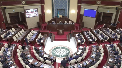 Как может измениться образование детей с инвалидностью, рассказал депутат
