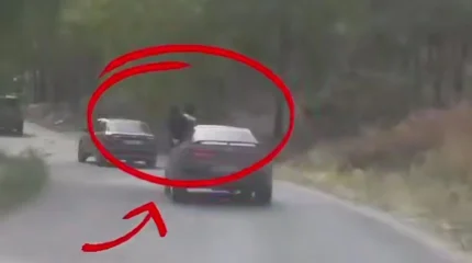 Жолдағы қауіпті әрекет: ШҚО-да жол ережесін өрескел бұзған азаматтар жазаланды