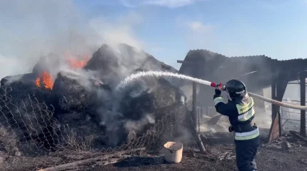 155 тонн сена сгорело в ВКО