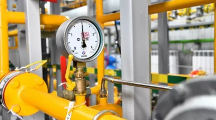 «Солтүстік-Шығыс экономикалық аймағын газдандыруды тездету қажет» - Ерлан Сайыр