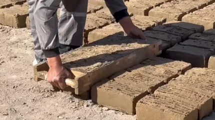 Павлодар облысында сотталғандарды жалған жұмысқа орналастырудың 280-нен астам фактісі анықталды