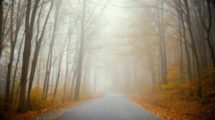 Тұман, үсік және жаңбыр: бірнеше өңірде дауылды ескерту жарияланды