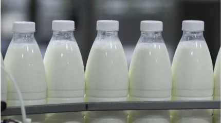 Қазақстанда өңделген сүт өндірісі артты