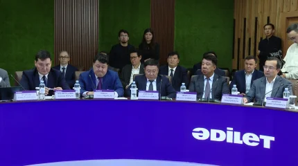 Как вывести казахстанцев из долгового кризиса обсудили в ходе круглого стола в партии «Әділет»