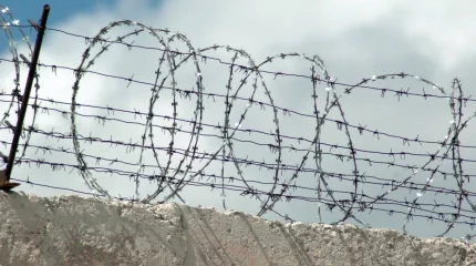 ІІМ: Амнистия аясында 2,6 мыңнан астам адамға қатысты шешім қабылданды